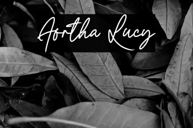 Aortha Lucy Font examples