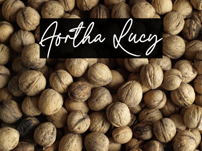 Aortha Lucy Example 3