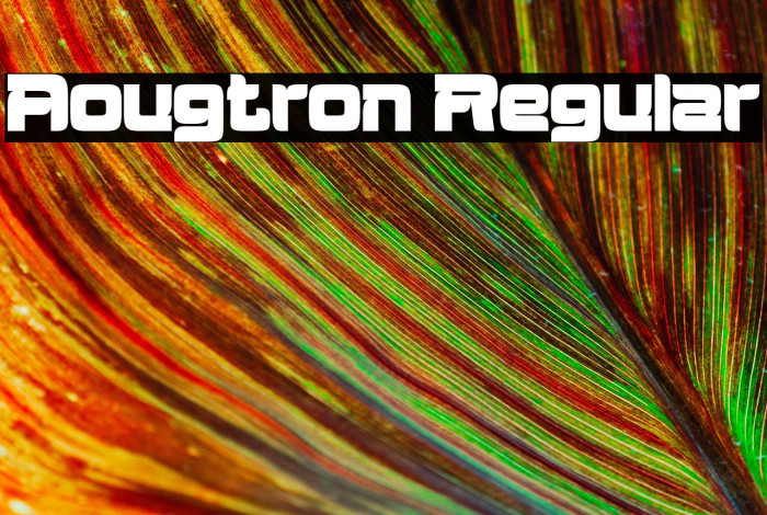 Aougtron Regular Example 3