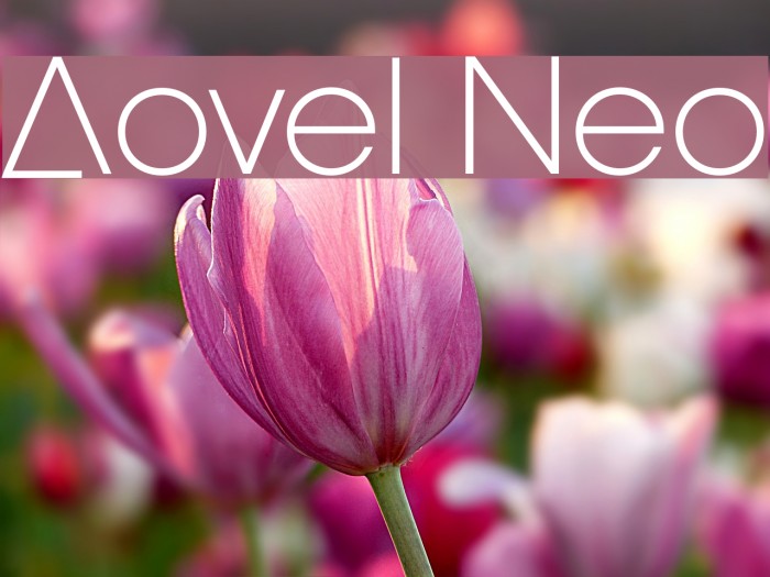 Aovel Neo Font examples