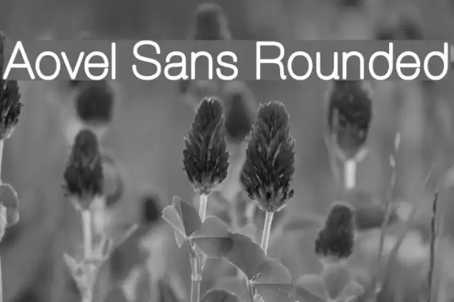 Aovel Sans Rounded Font examples