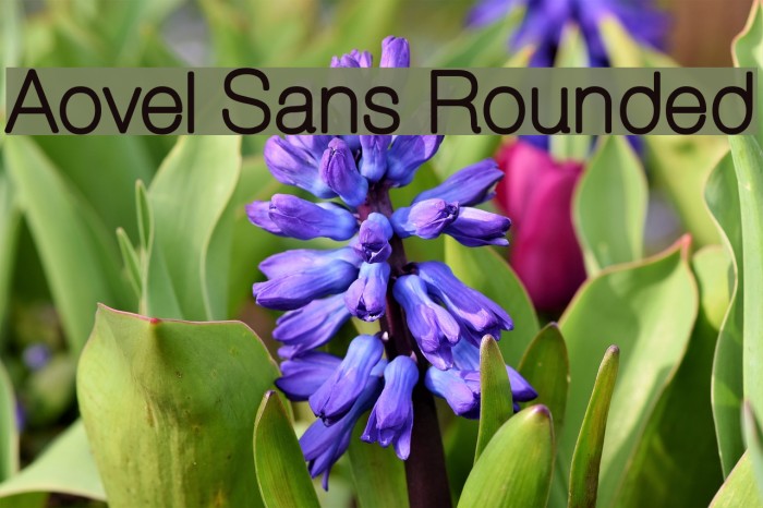Aovel Sans Rounded Font examples