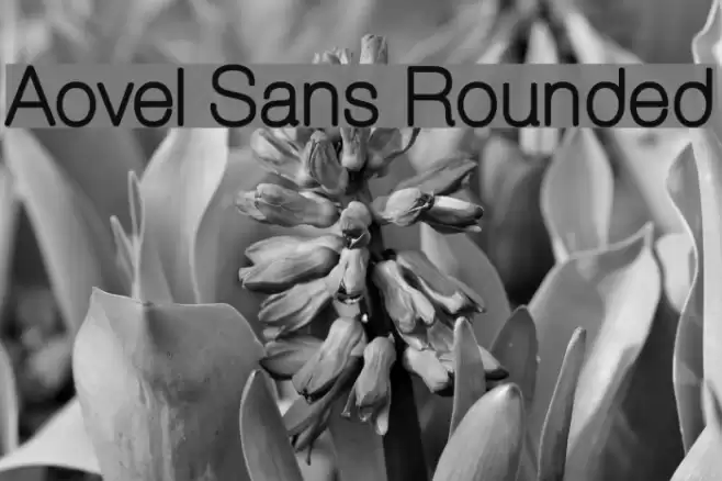 Aovel Sans Rounded Font examples