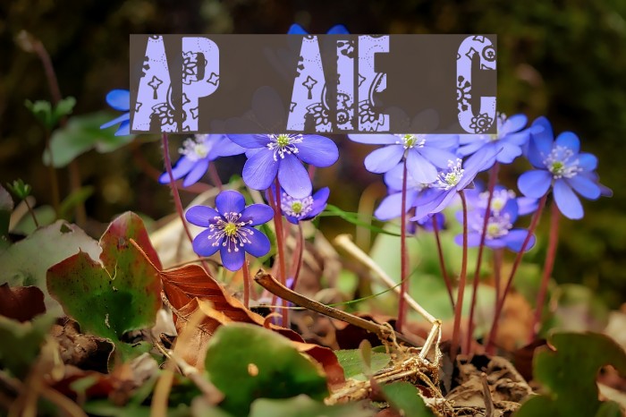 AP Applique Cut Font examples