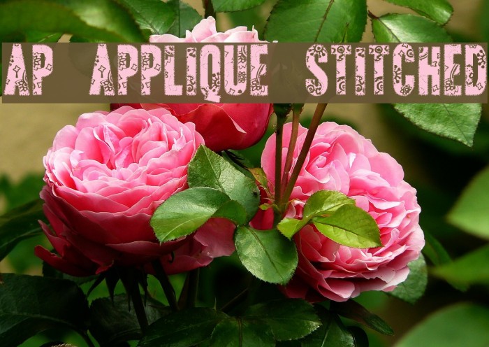 AP Applique Stitched Font examples