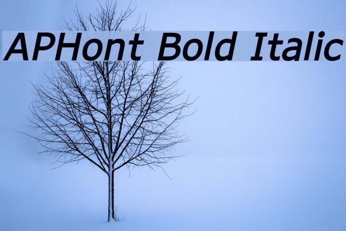 APHont Bold Italic Font examples