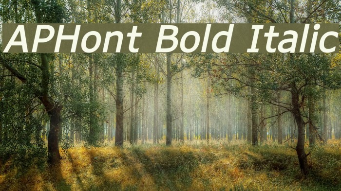 APHont Bold Italic Font examples