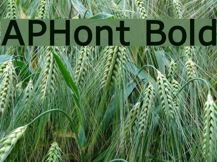 APHont Bold Font examples