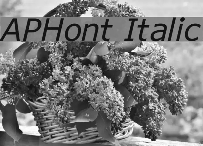 APHont Italic Font examples