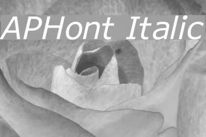 APHont Italic Font examples