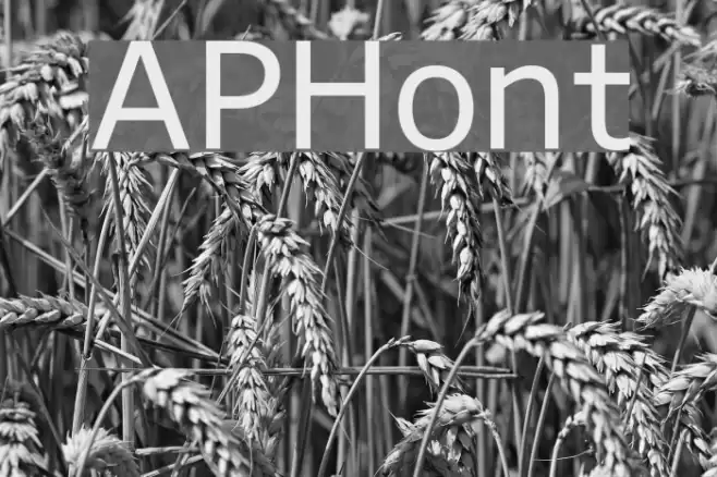 APHont Font examples
