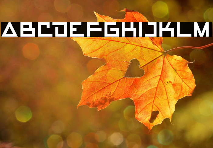 APOLLO ROCKET Example 1