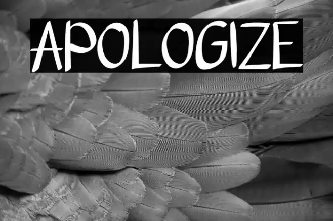 APOLOGIZE Fonte examples