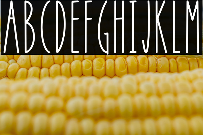 APPLE BERRY Example 1