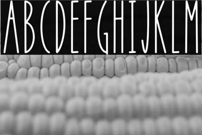 APPLE BERRY Font examples