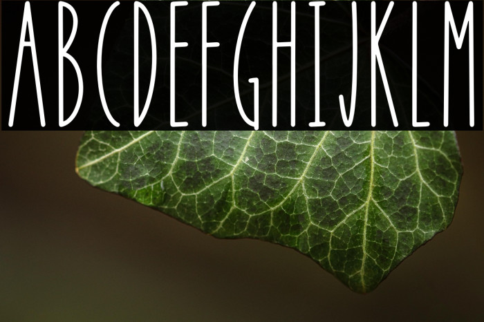 APPLE BERRY Example 2