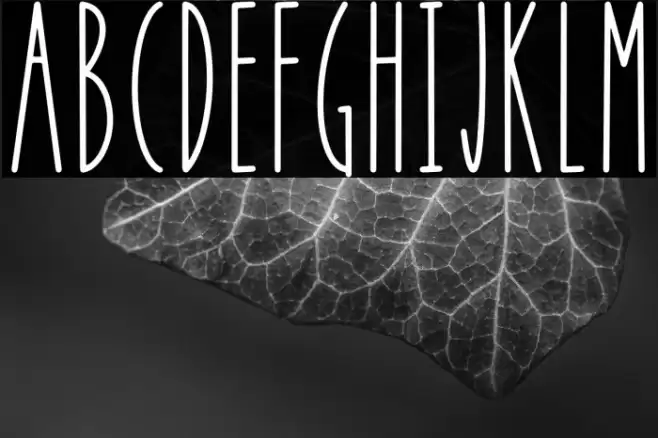 APPLE BERRY Font examples