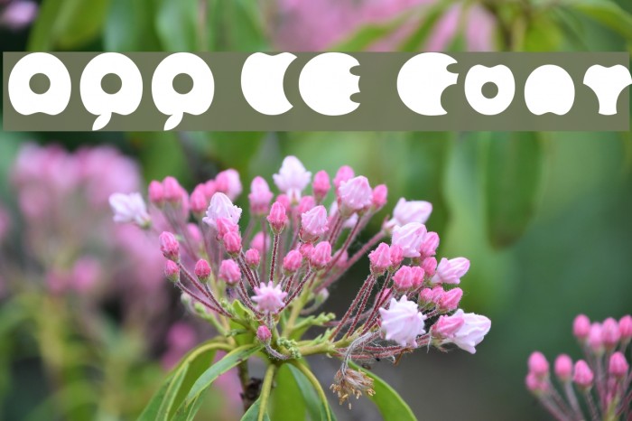 APPLE Font examples