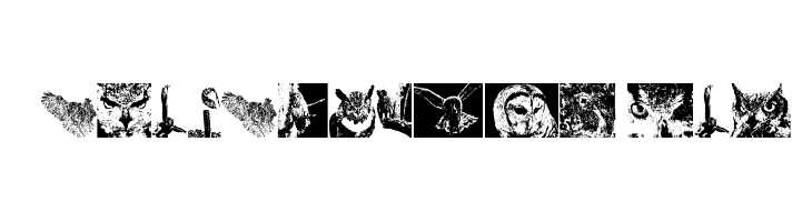 AParliamentofOwls2  Free Fonts Download