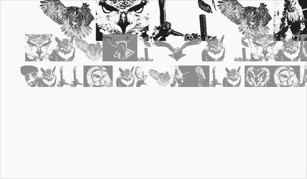 AParliamentofOwls2 Business Card