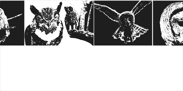 AParliamentofOwls2 Logo