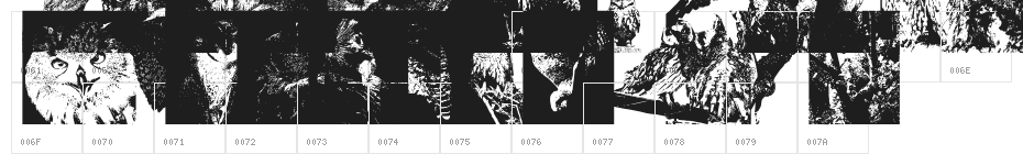AParliamentofOwls3 Character Map