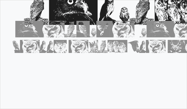 AParliamentofOwls3 Business Card