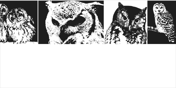 AParliamentofOwls3 Logo