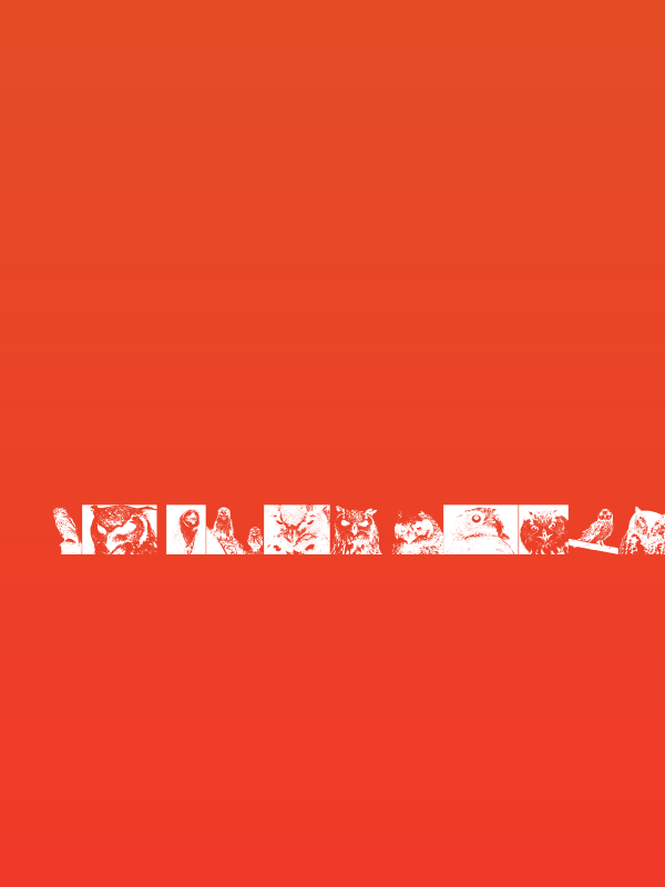 AParliamentofOwls3 Poster