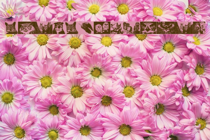 AParliamentofOwls Example 1