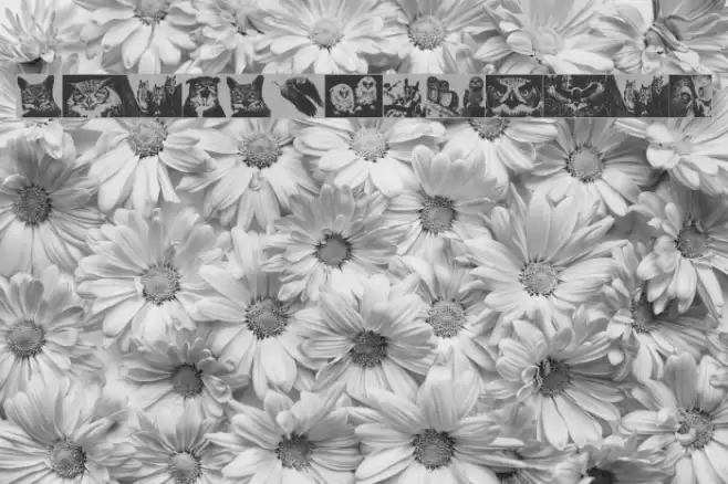 AParliamentofOwls Font examples