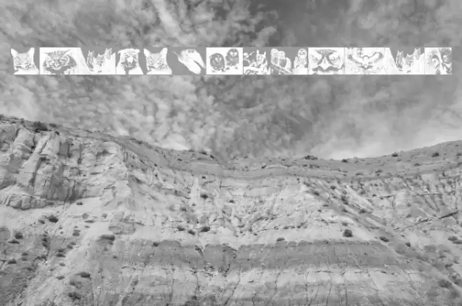 AParliamentofOwls Font examples