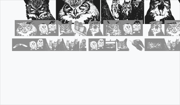 AParliamentofOwls Business Card