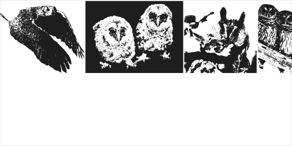 AParliamentofOwls Logo