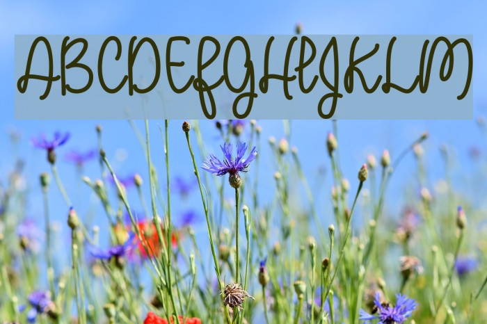 APerfectPlace Font examples