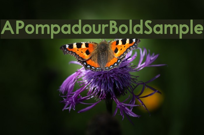 APompadourBoldSample Font examples