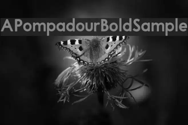 APompadourBoldSample Example 2