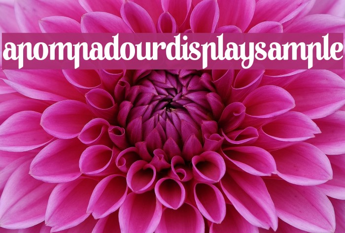 APompadourDisplaySample 字体 examples