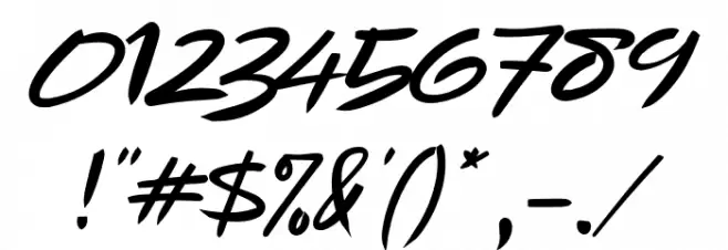 Apa Bedone 11 12 Font OTHER CHARS