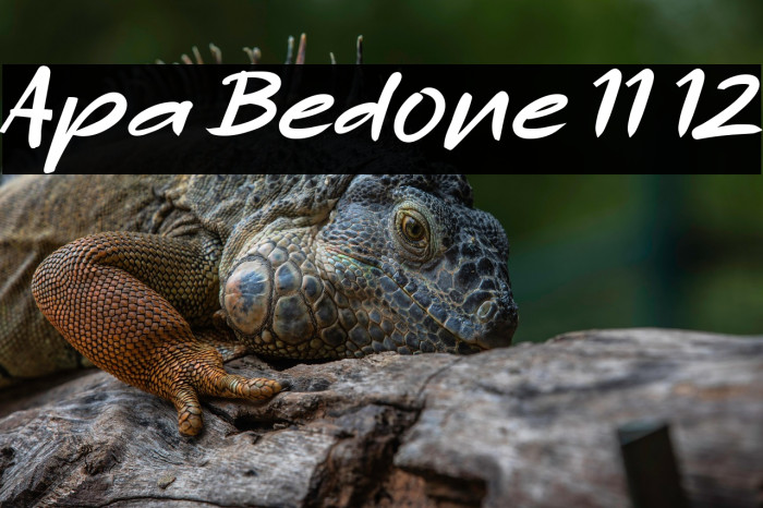 Apa Bedone 11 12 Example 2