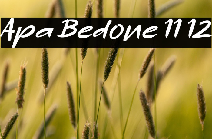 Apa Bedone 11 12 Example 3