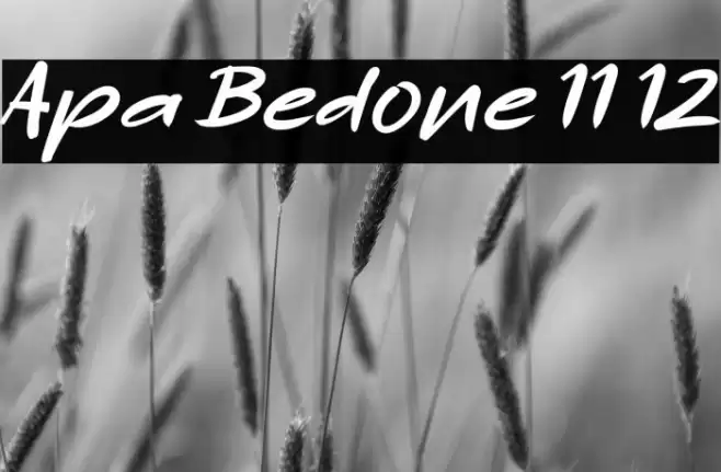 Apa Bedone 11 12 Font examples
