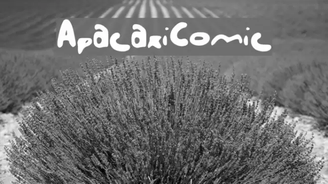 Apacaxi_Comic_ Font examples