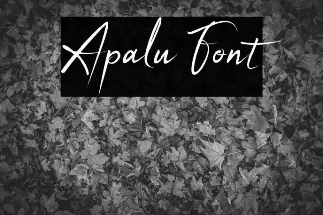 Apalu Example 1