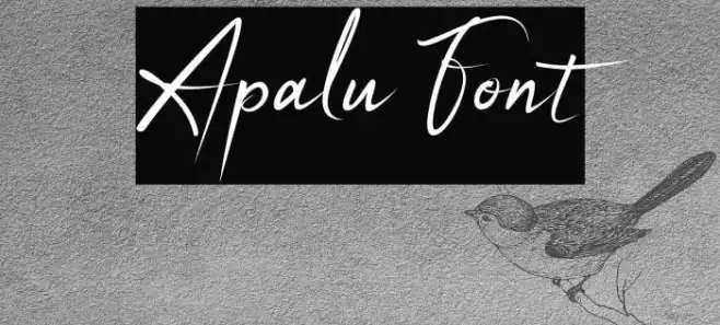 Apalu Example 3