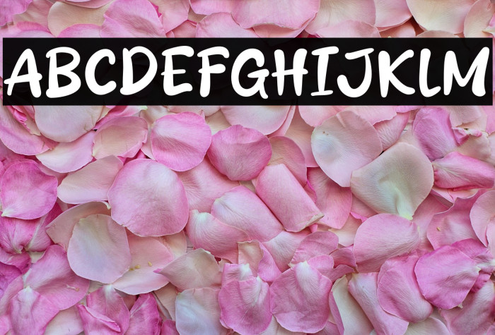 Apayah Loe Example 3