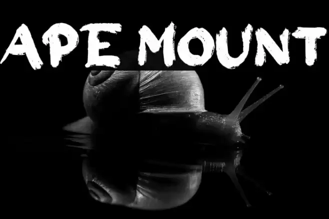 Ape Mount Font examples