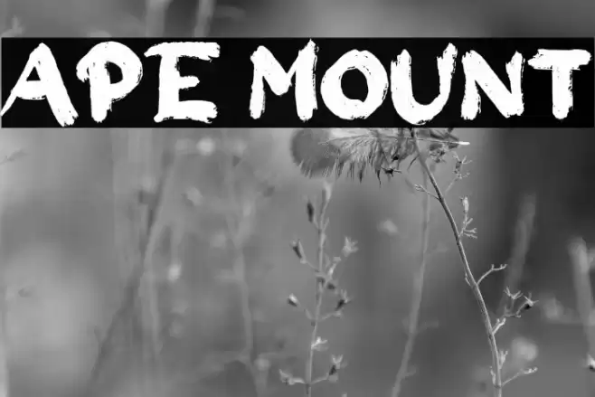 Ape Mount Font examples