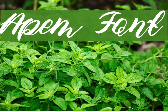 Apem Font examples