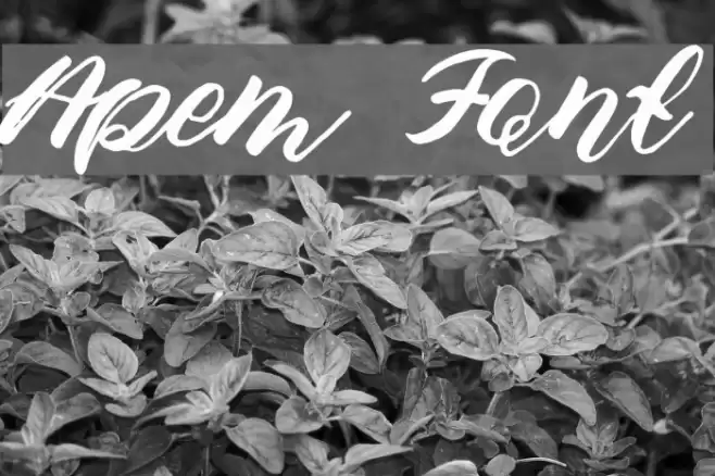 Apem Font examples